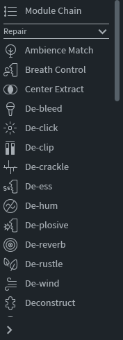 iZotope RX Advanced Editor Module List